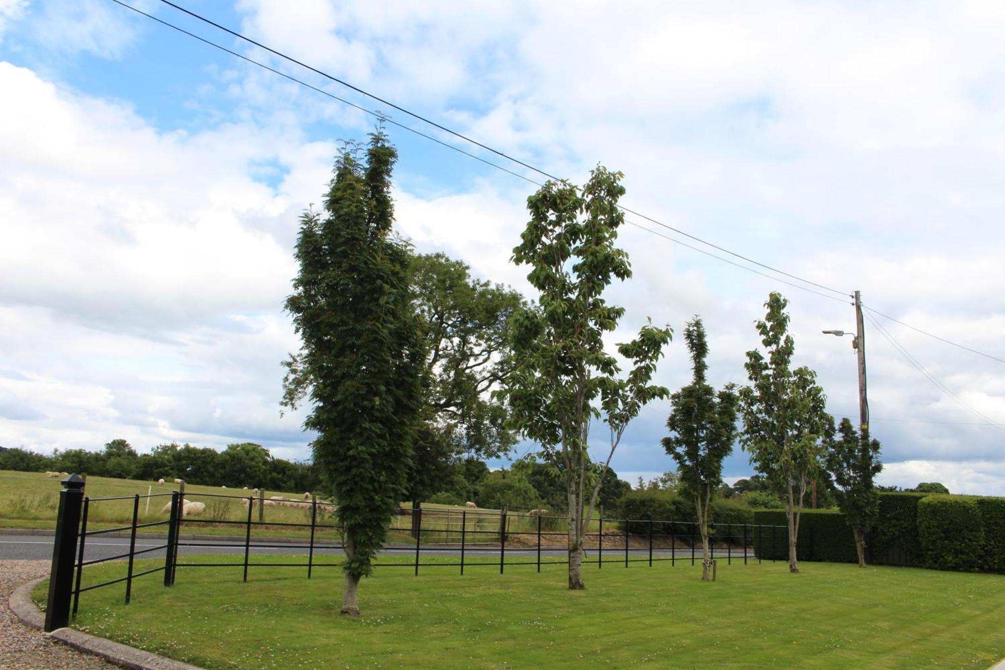 Contemporary Countryside Home Dromore  Экстерьер фото